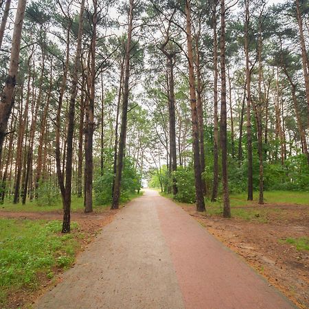 Apartament Wygodny 소포트 외부 사진