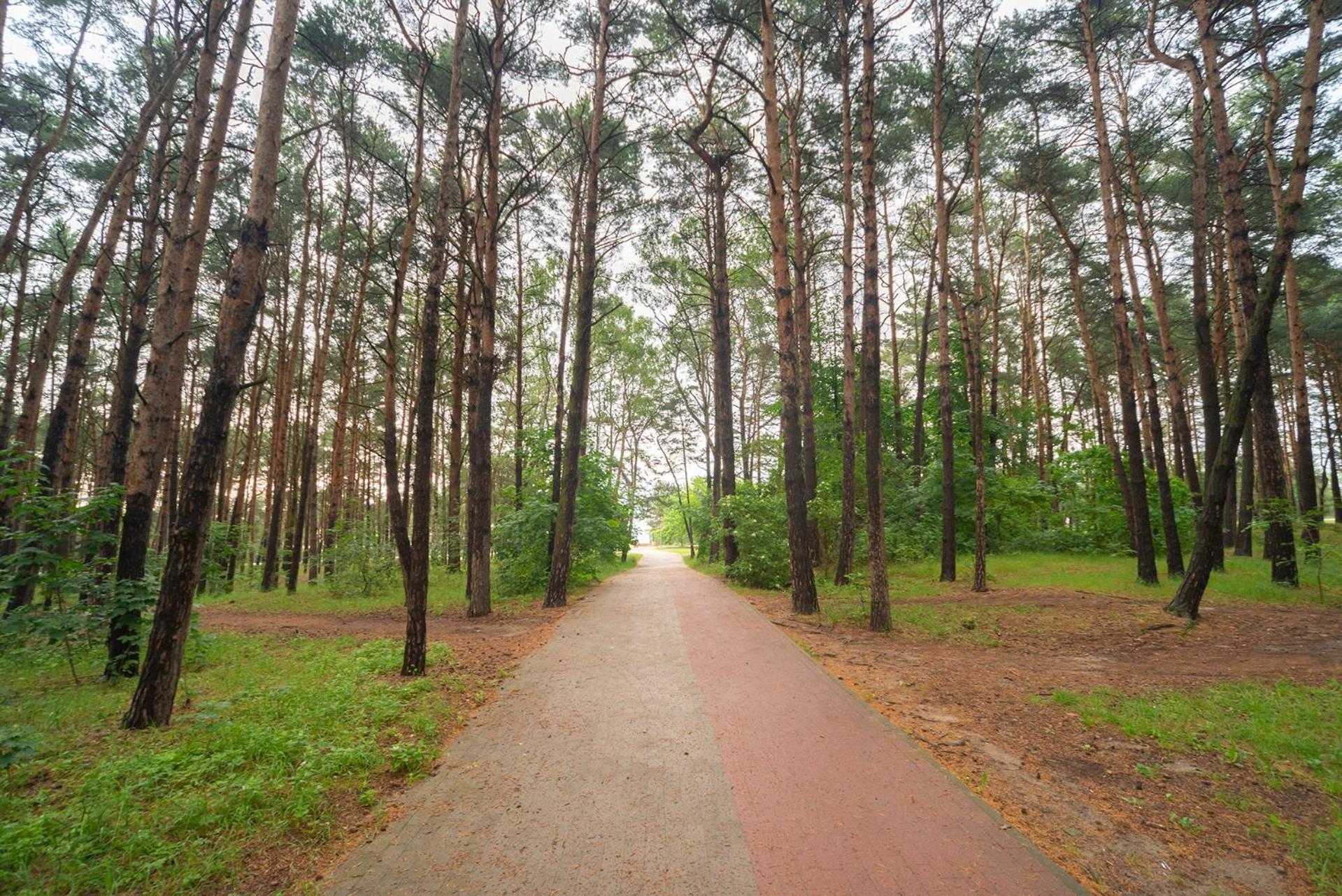 Apartament Wygodny 소포트 외부 사진
